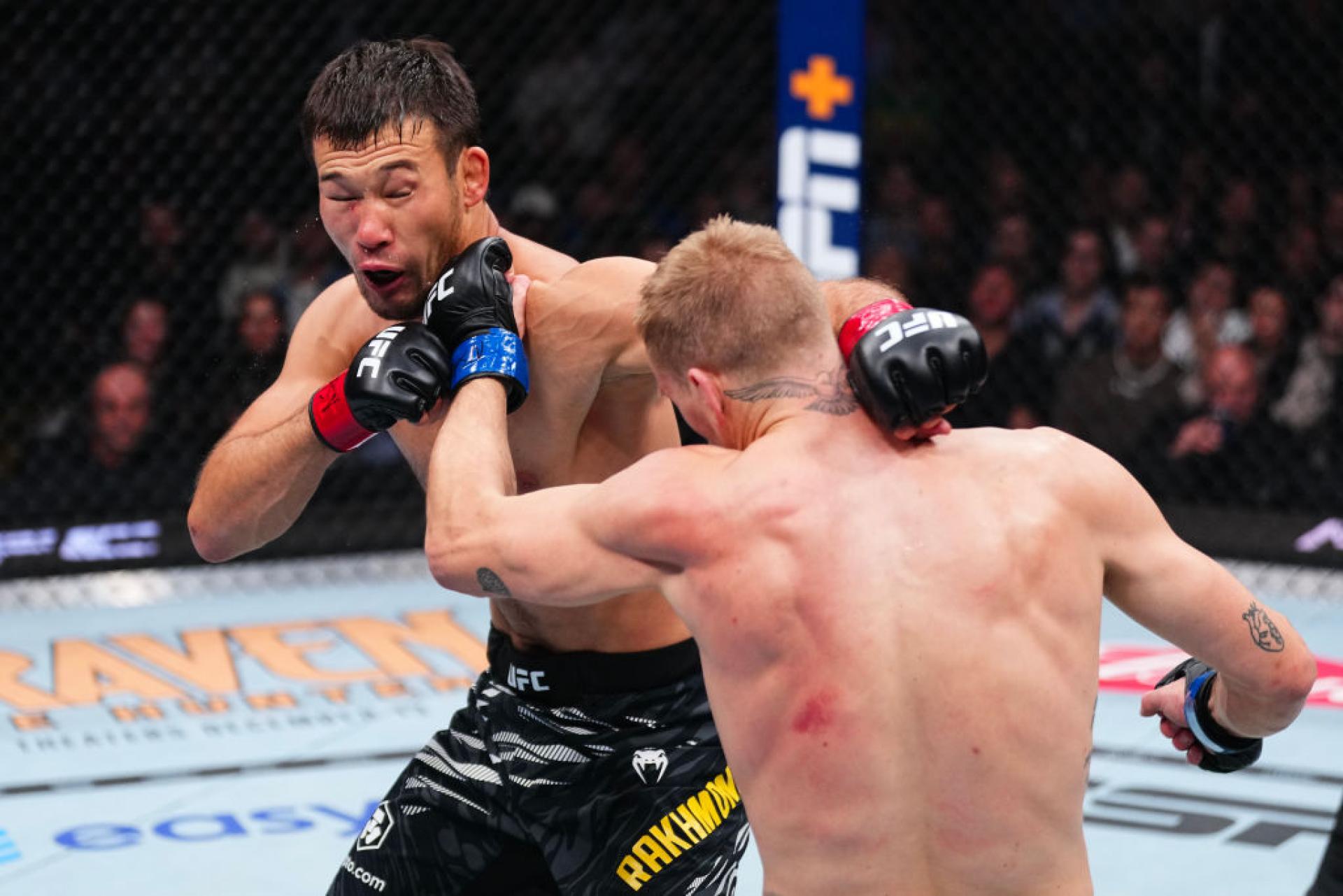 В UFC предрекли поражение Рахмонова в потенциальной схватке
