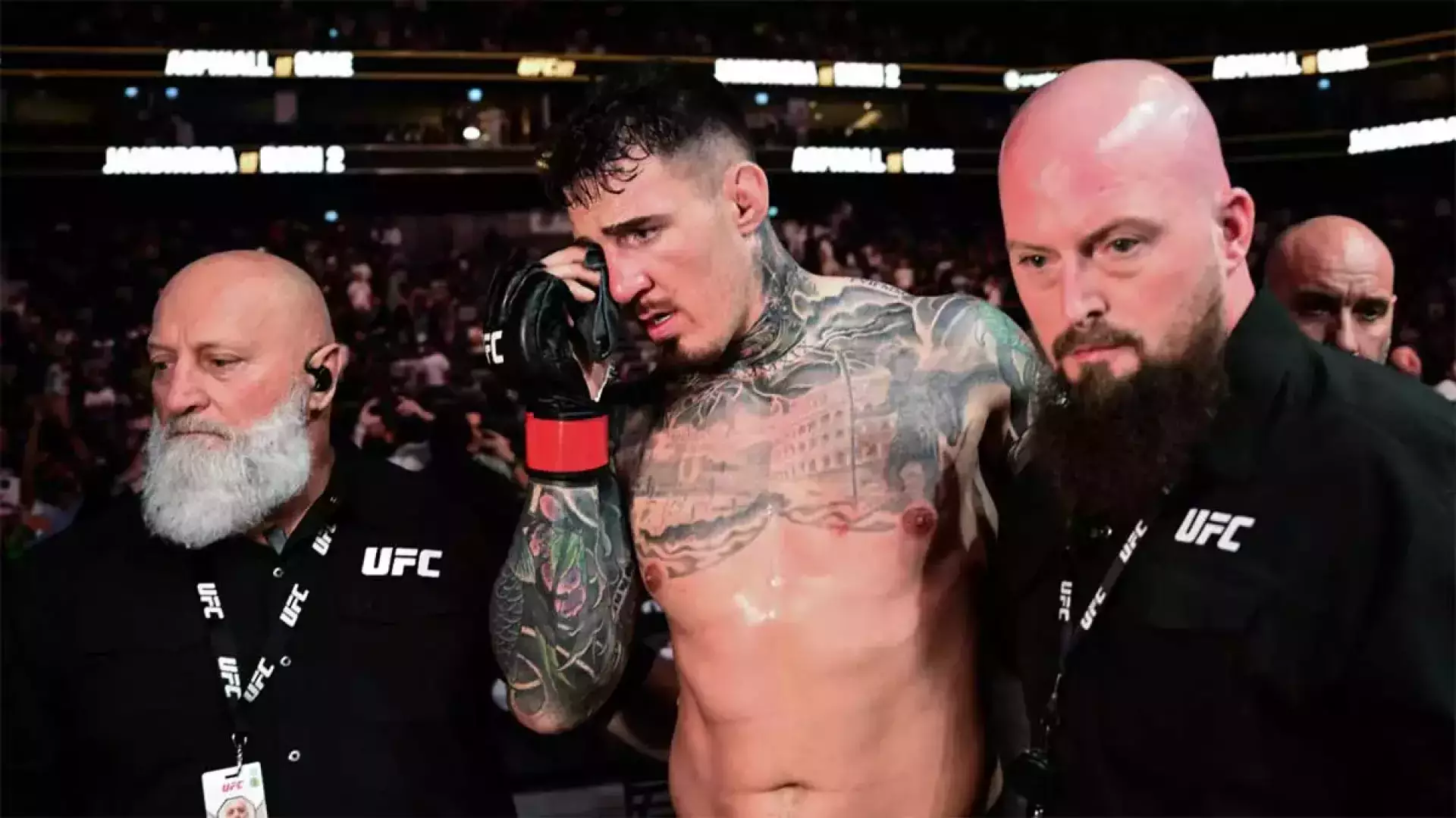 Photo: из открытых источников