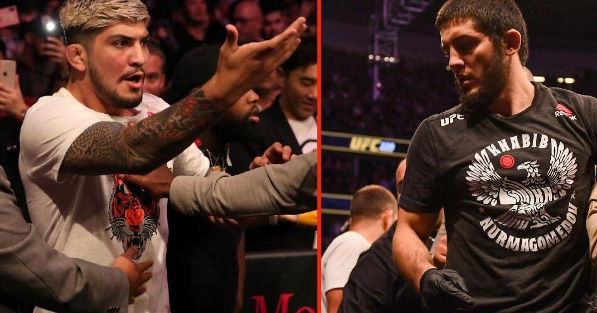 Массовая драка с участием команд Хабиба и Конора произошл на турнире UFC