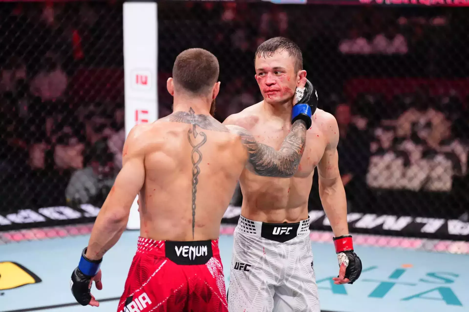 Алмахан уступил Топурии в жестком трехраундовом бою UFC