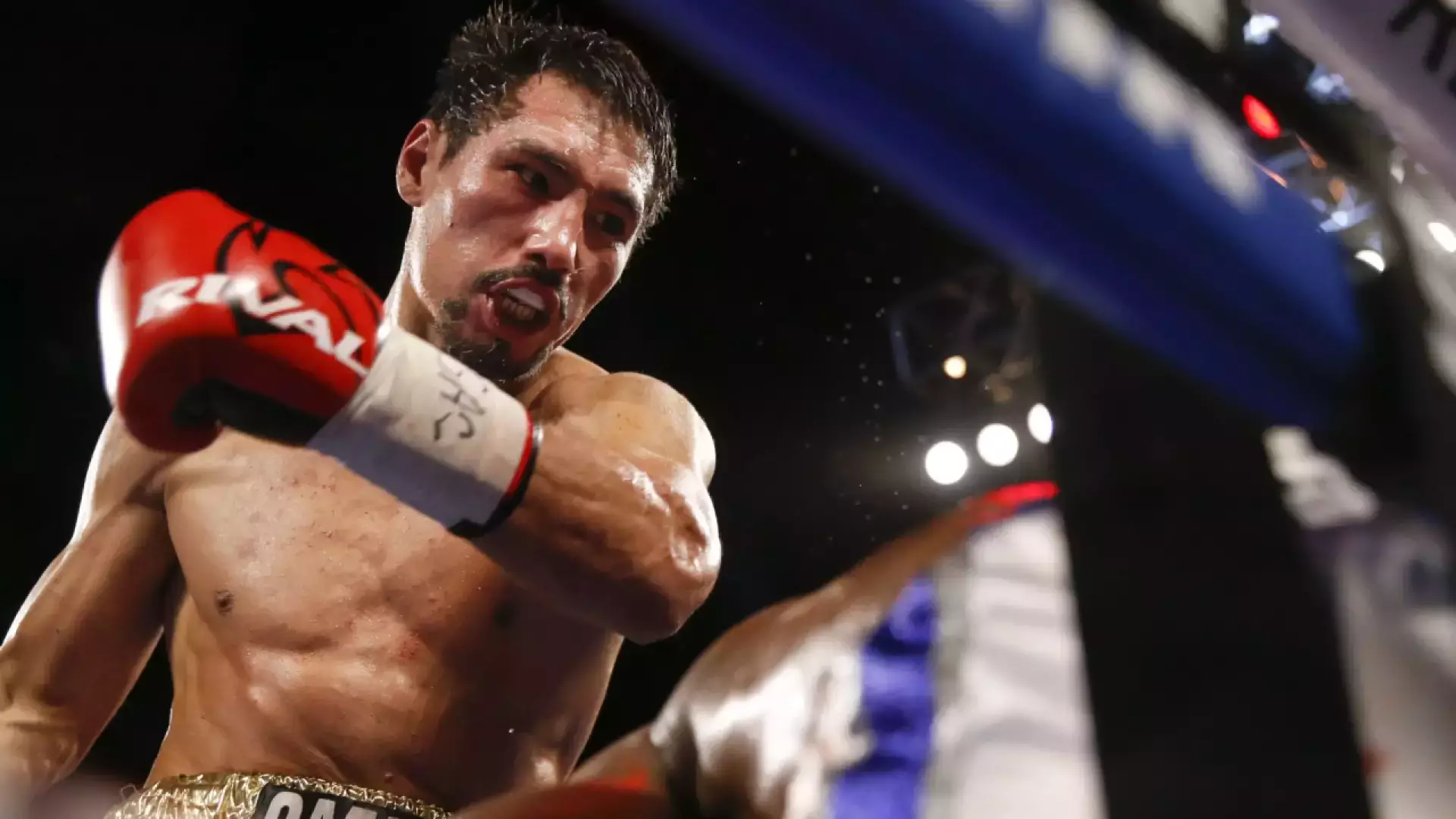 "Жанибек чист!": Менеджер Алимханулы объяснил ситуацию с допинг-тестом