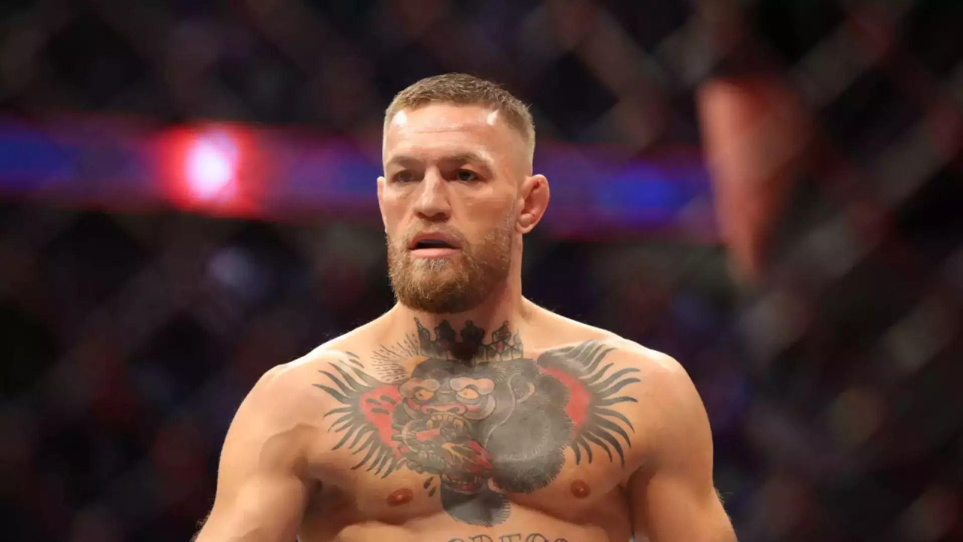 Макгрегору подготовили возможного соперника для титульного боя UFC