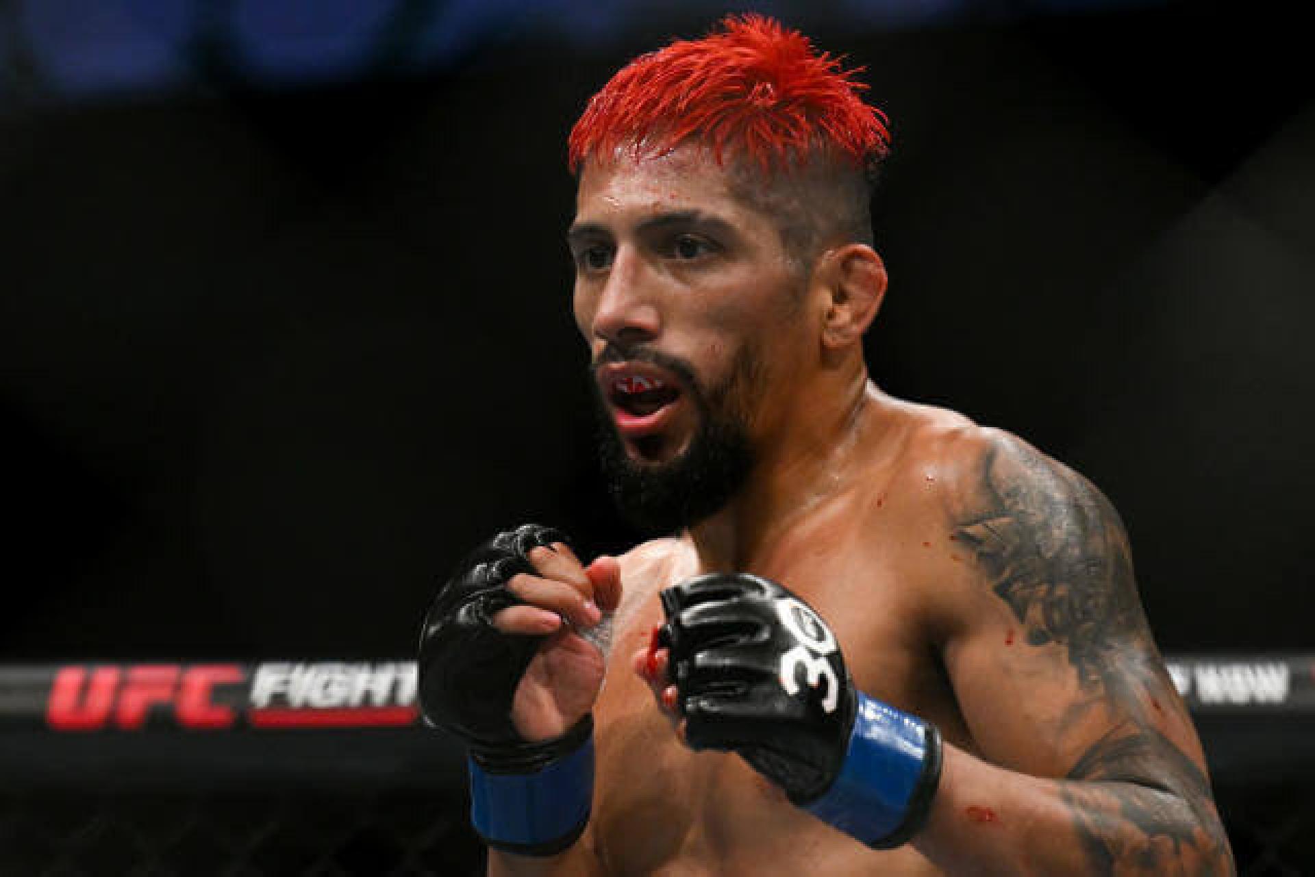 UFC массово уволило бойцов