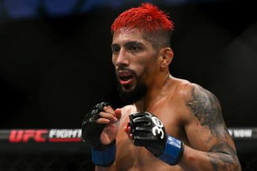 UFC массово уволило бойцов