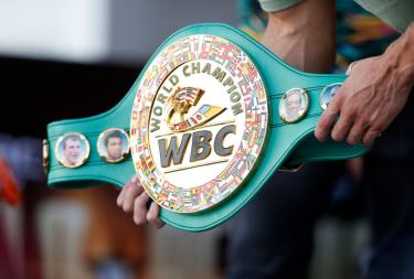 Жанибек Алимханулы на шаг ближе к титулу WBC